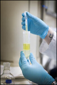 Testen van mayonaise: een serieuze zaak...